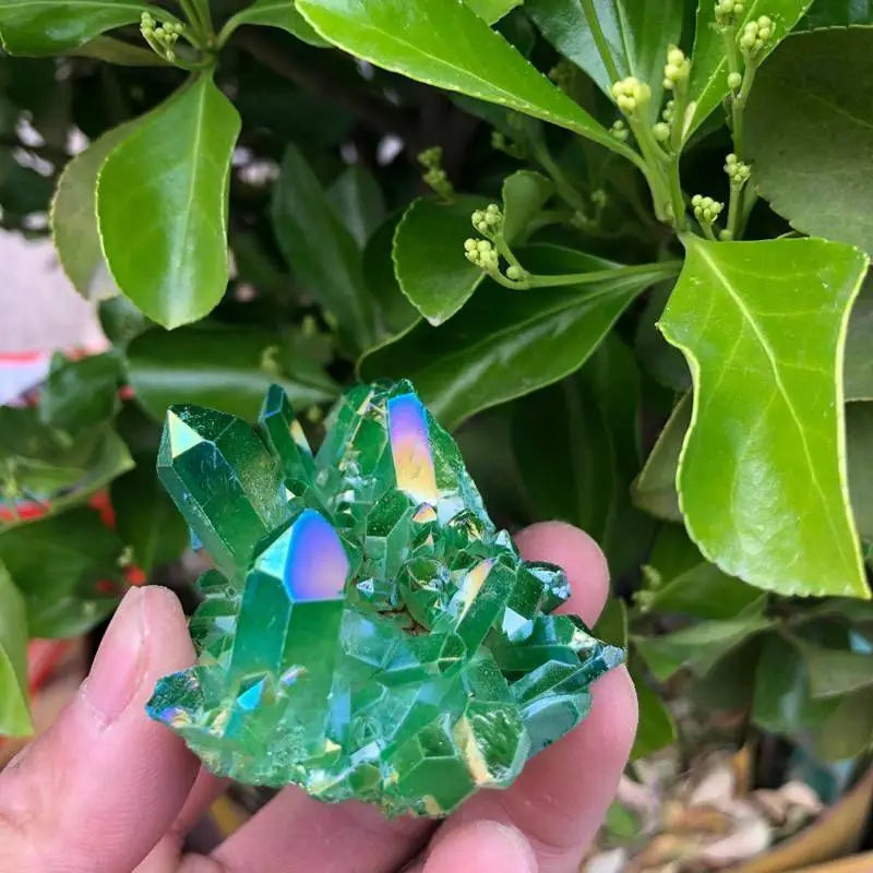 S768b2ed7549346ae8b9a4779275d016fx