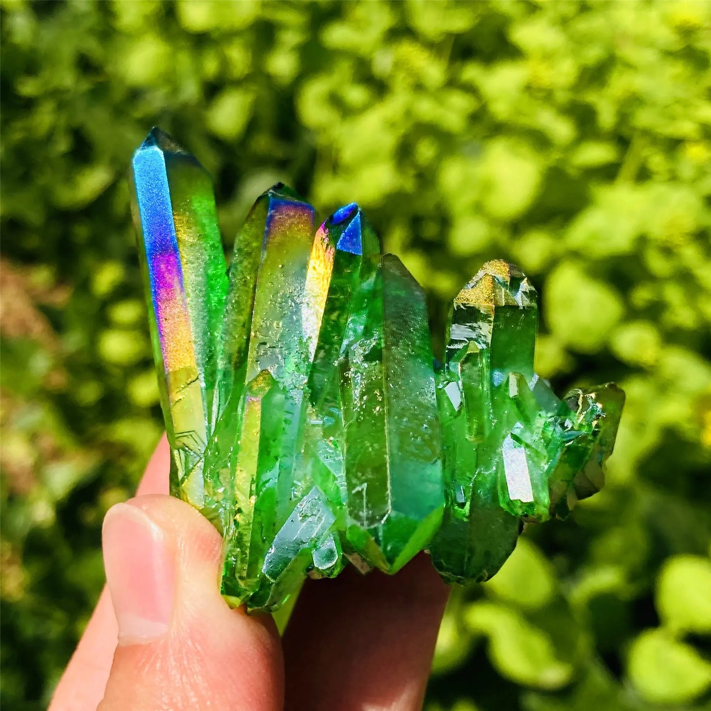 Se7b534d0a03f427cbed6c6011454b591d